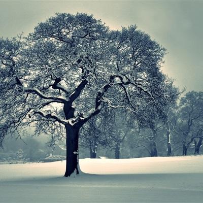 bd体育app官方下载